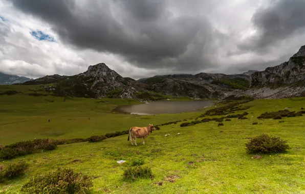 Field, the sky, grass, clouds, mountains, clouds, lake, overcast