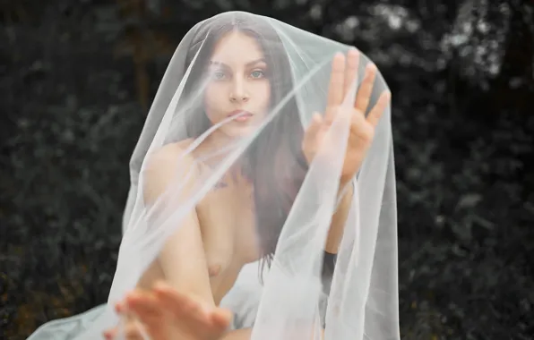 Chest, look, veil, naked girl, Sergey Bogatkov, Lisa Burakova