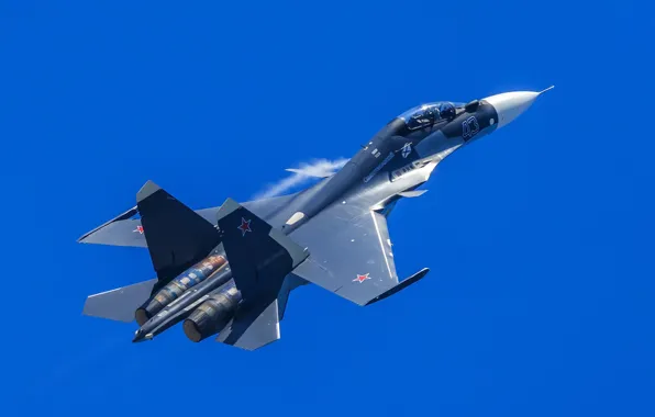 Picture fighter, multipurpose, Su-30CM, Su-30SM