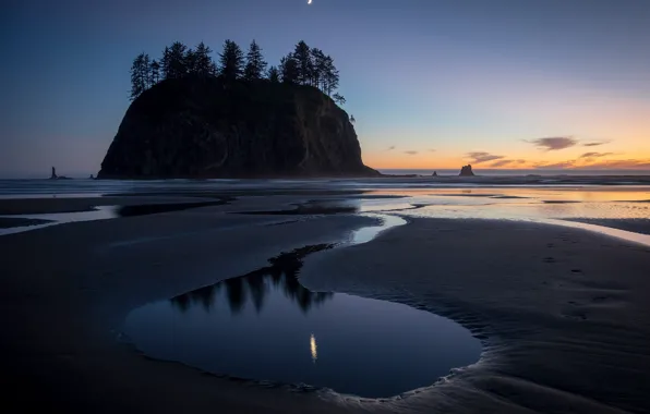Sunset, The sky, Sand, Sea, Trees, The moon, Island, Shoal