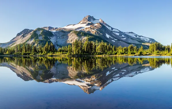 Picture forest, mountains, lake, reflection, Oregon