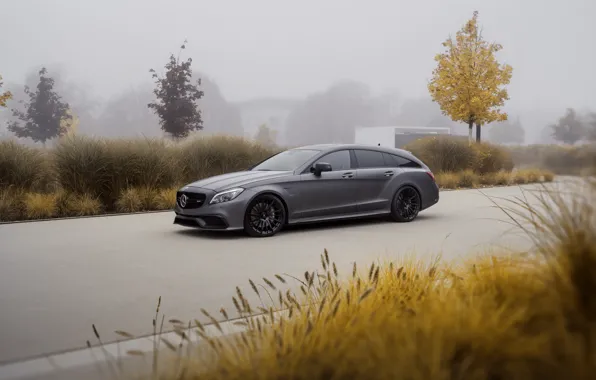 Mercedes, Grey, Left Side, Pogea Racing, CLS63 S