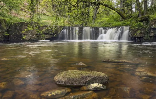 Picture forest, river, stones, England, waterfall, England, North York Moors, Walker Mill Foss