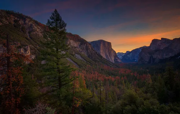 Picture CA, USA, Yosemite, Yosemite National Park