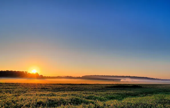 Field, the sky, grass, the sun, rays, sunset, nature