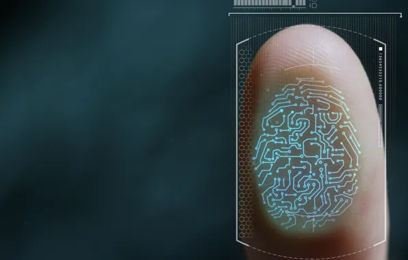 Lines, finger, fingerprints