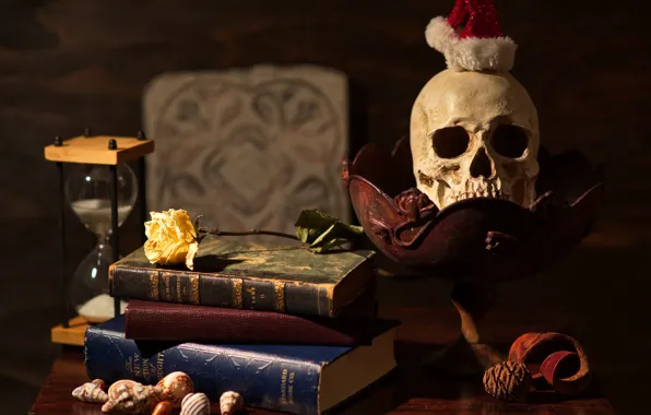 Flower, style, the dark background, table, rose, books, skull, shell
