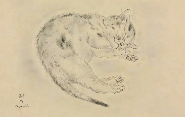 Picture paper, 1928, Tsuguharu Foujita, pen and ink, Sleeping cat, blur grey