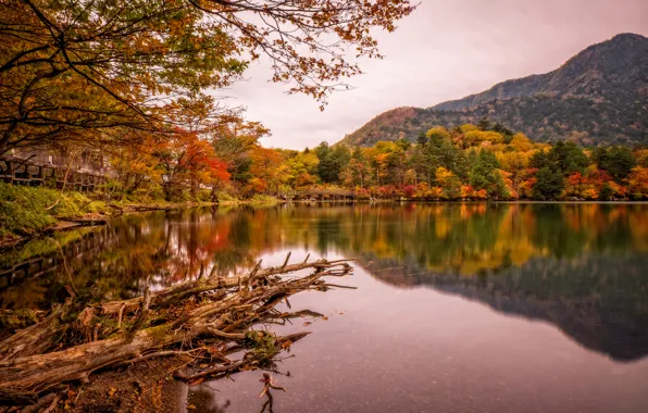 Picture autumn, trees, mountains, bridge, lake, Park, Japan, Nikko
