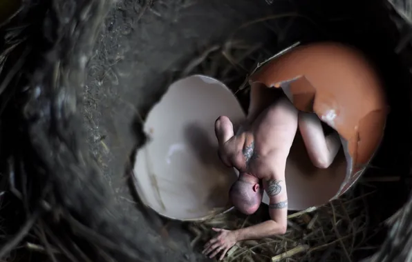 People, the situation, egg