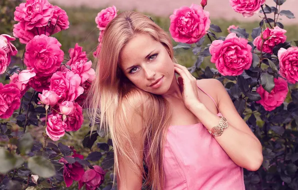 Picture girl, nature, roses, blonde