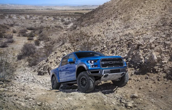 Picture Ford, Raptor, F-150, The roads, 2019, Ford F-150 Raptor