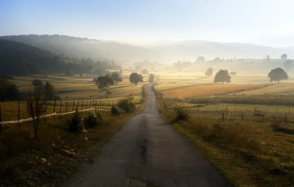 Field, morning mist, Bosnia and Herzegovina, the road into the distance