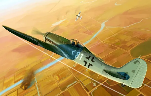 P-51, Fw-190, multi-role fighter, Fw.190D-11, Engine Jumo 213F