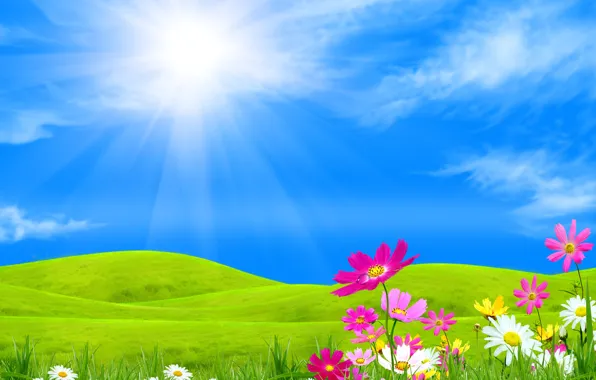 The sky, grass, the sun, clouds, rays, flowers, hills, collage