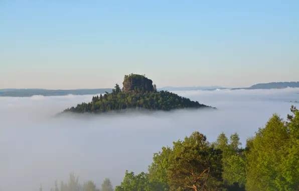 Picture the sky, trees, fog, rock, mountain, morning