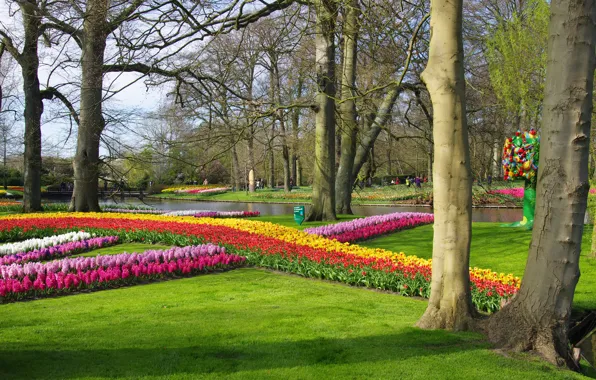 Flowers, Park, river, spring, tulips, Netherlands, tulips, Netherlands