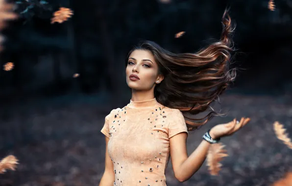 The wind, sponge, curls, Alessandro Di Cicco, Windy day, Margaret Sicignano