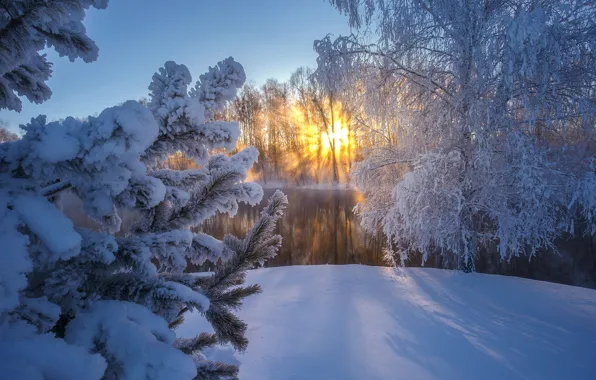Picture winter, frost, snow, trees, sunset, river, spruce, Russia