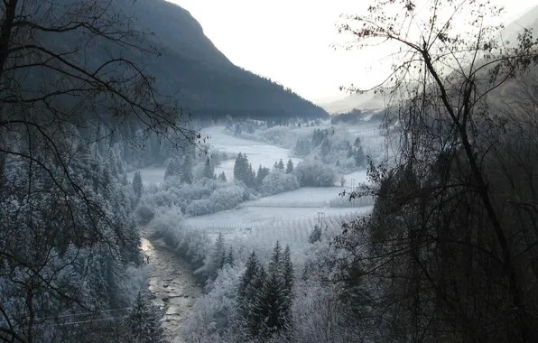 Picture winter, frost, forest, trees, mountains, river, valley