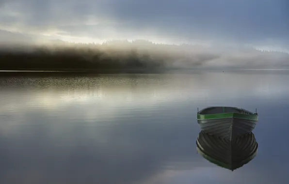 Picture forest, fog, lake, boat