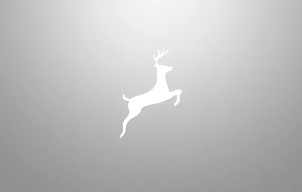 Picture animal, deer, silhouette