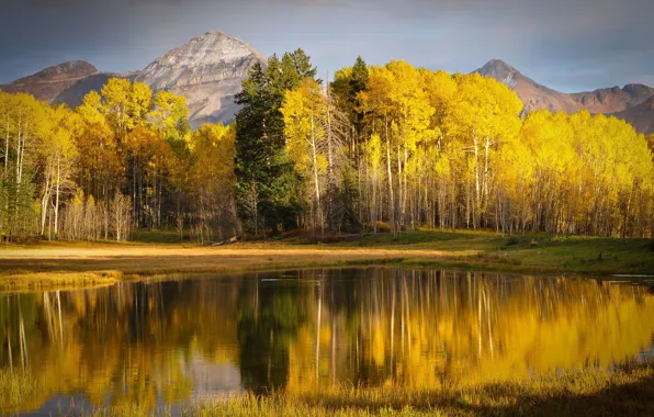 Picture autumn, forest, mountains, river, Сolorado