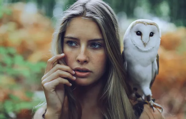 Picture owl, portrait, freckles, pet