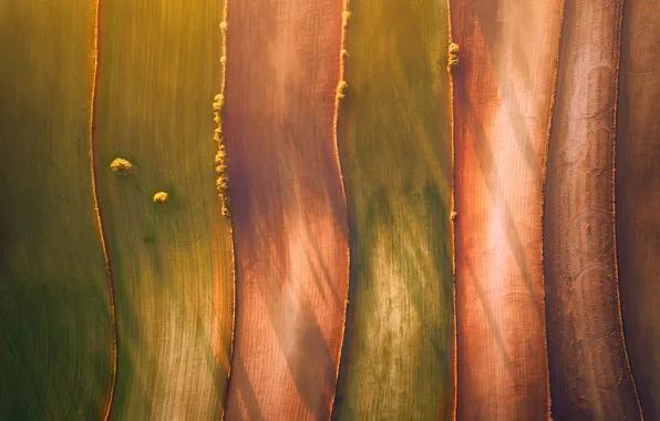 Field, light, nature, the view from the top