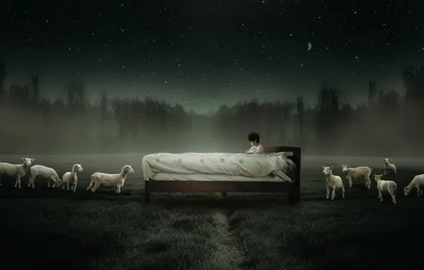 Field, forest, the sky, grass, stars, night, fog, rendering