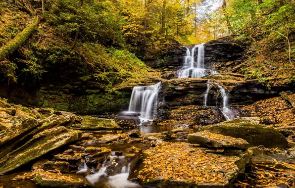 Picture autumn, stones, foliage, waterfall, falling leaves, cascade, Golden autumn