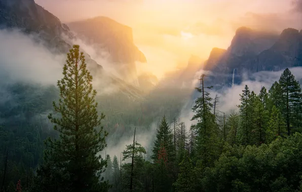 USA, California, Yosemite National Park, Sierra Nevada, Yosemite Falls