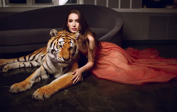 Picture look, girl, tiger, pose, style, sofa, model, dress