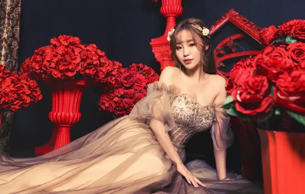 Look, girl, flowers, pose, frame, portrait, roses, dress