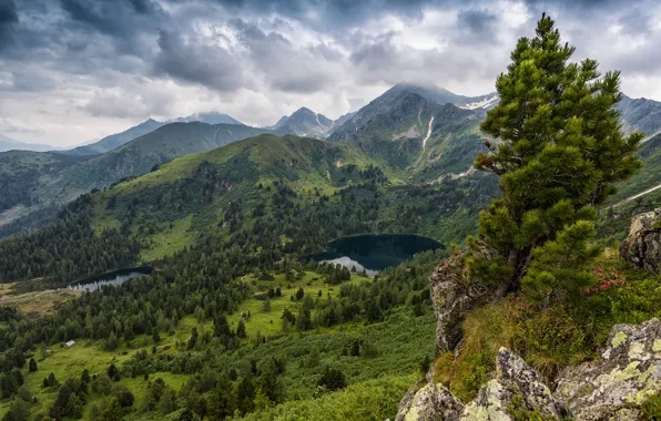 Picture lake, view, height, mountains, forest, rocks, pine