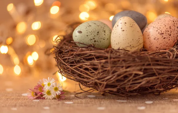 Lights, eggs, Easter, socket, flowers, bokeh, motley