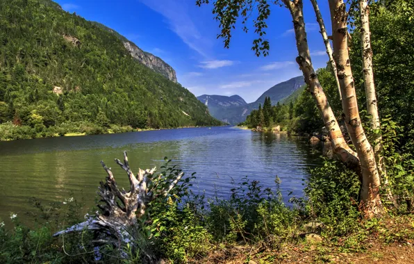 Forest, grass, trees, mountains, river, stones, shore, Canada