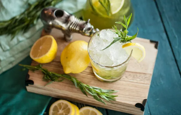 Picture ice, lemon, citrus, drink, mint