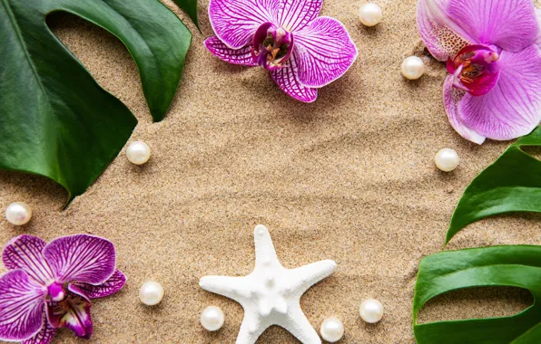 Sand, leaves, flowers, white, Orchid, pink, flowers, sand