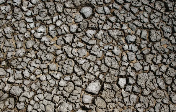 Surface, cracked, earth, drought, land, drought, surface, cracks