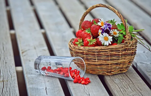 Flowers, glass, berries, basket, chamomile, strawberries, strawberry, Pansy