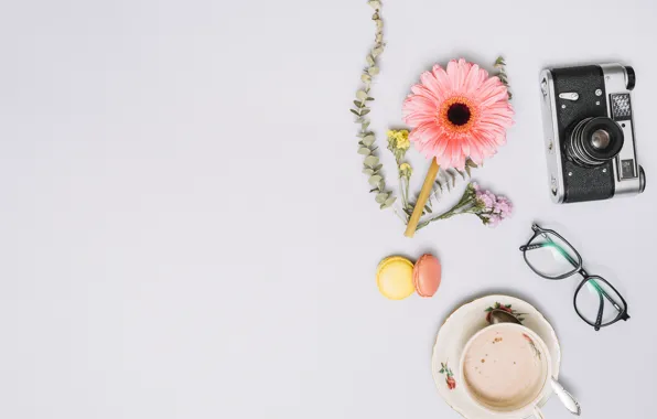 Flowers, coffee, cookies, glasses, the camera, cup, Coffee