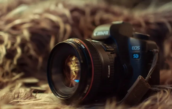 Macro, background, camera