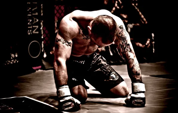 Tattoo, fighter, fighter, tattoo, mma, mixed martial arts, mixed martial arts