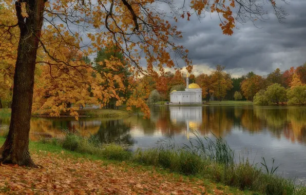 Autumn, trees, pond, Park, foliage, Saint Petersburg, Russia, Pushkin