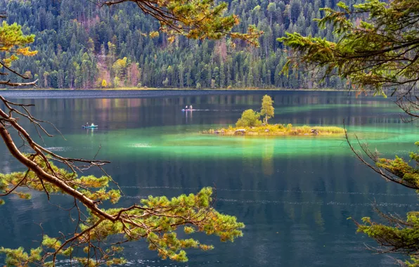 Autumn, forest, trees, branches, lake, people, shore, boats