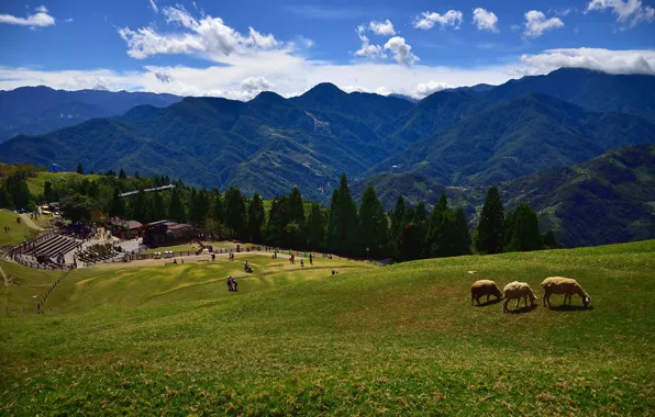Field, forest, grass, clouds, mountains, blue, people, hills