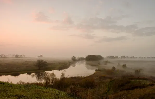 Picture field, landscape, fog, river