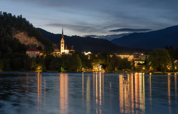 Forest, trees, mountains, lights, lake, shore, home, the evening