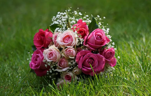 Picture grass, roses, bouquet, wedding bouquet